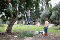 TFeder_Hm-pre_310322-0028
