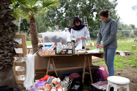 TFeder_Hm-pre_310322-0041