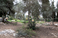 TFeder_Hm-pre_310322-0020