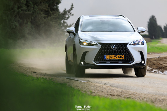 TF_Lexus-nx450h-321