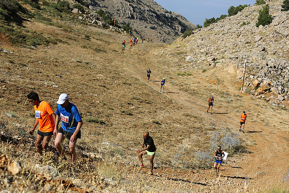HermonRun - 2016
