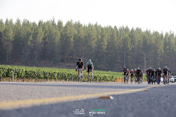 TFeder_ILC-Road24-0368