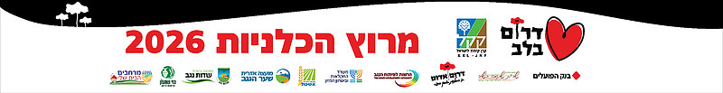 סטריפ עליון סופי