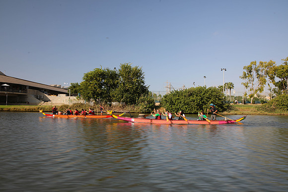 TF_dbd-201022-1330
