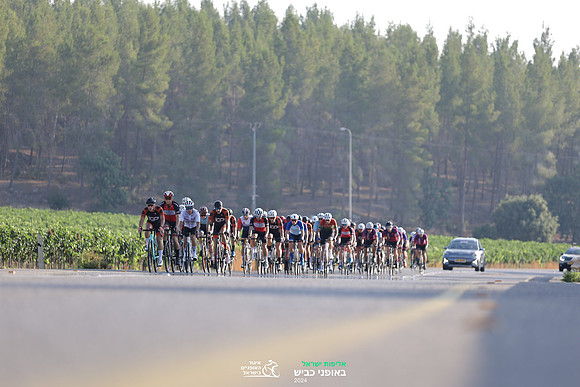 TFeder_ILC-Road24-0406