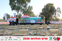 Ronen_Horesh-BCR-26-0016