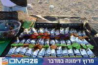 Tomer_Feder-DMR26-0102