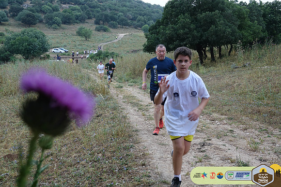 AK_TVR24-0909