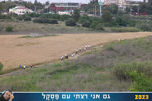RT_rwp23-0102