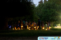 פעילות חיות ולילה