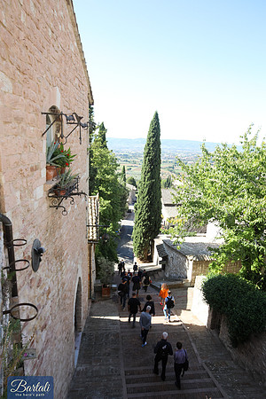 TF-Bartali_thp-190922-7501