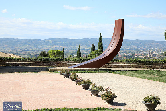 TF-Bartali_thp-190922-7504