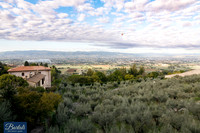 TF-Bartali_thp-190922-7361