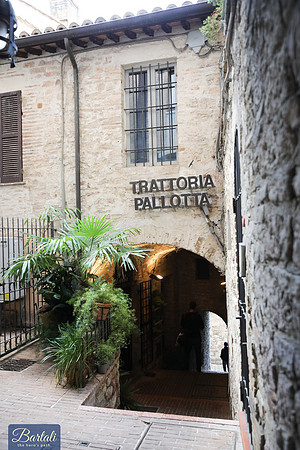 TF-Bartali_thp-190922-7412