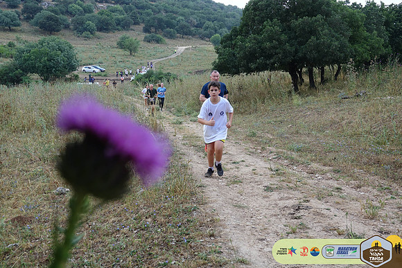AK_TVR24-0908