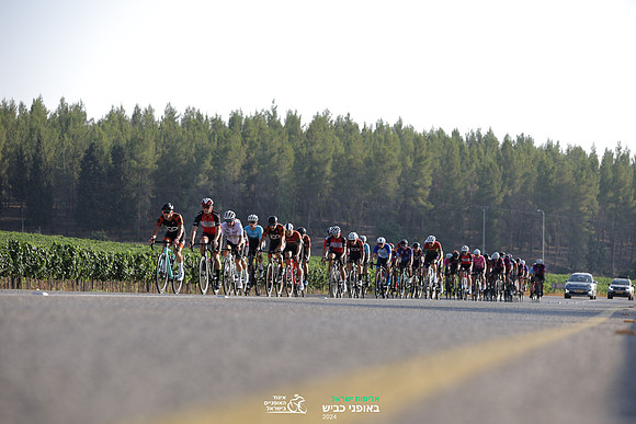 TFeder_ILC-Road24-0412