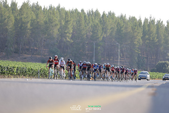 TFeder_ILC-Road24-0409
