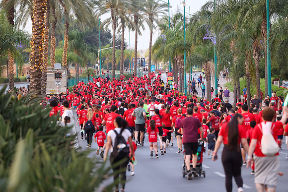 RT_ptr23_0661