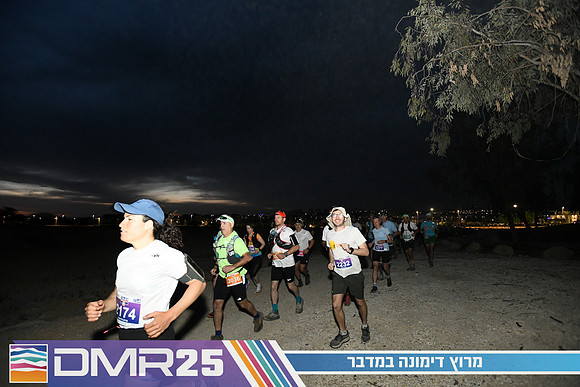EY_DMR25-0133