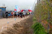TF_vmc21-0816