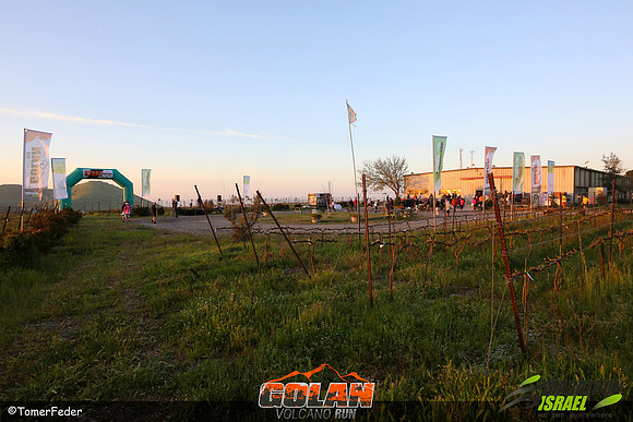 tf_VCR_120419-0101