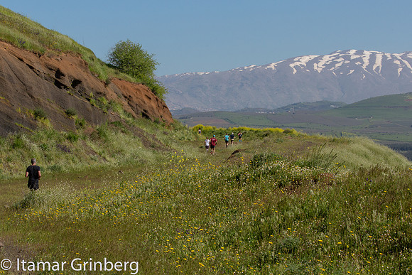 834C2670_itamargrinberg