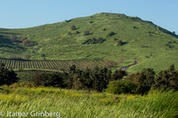 834C2431_itamargrinberg