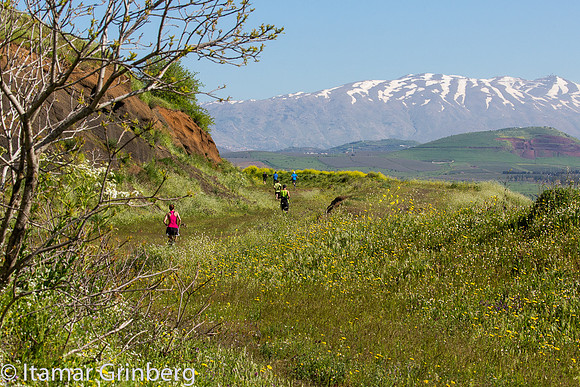 834C2676_itamargrinberg