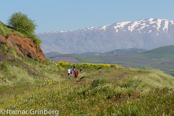 834C2668_itamargrinberg