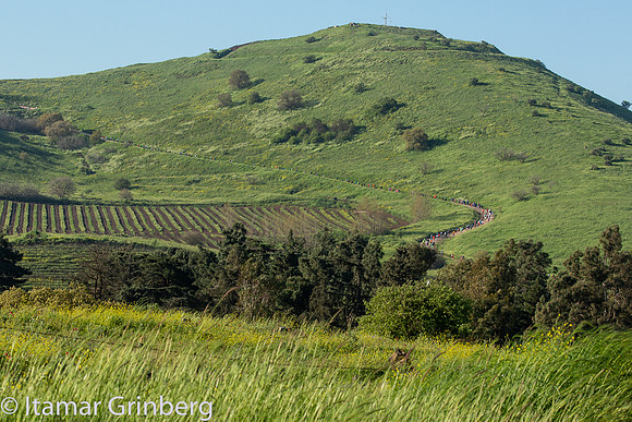 834C2418_itamargrinberg