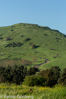 834C2416_itamargrinberg