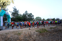 Volcano Run 2017