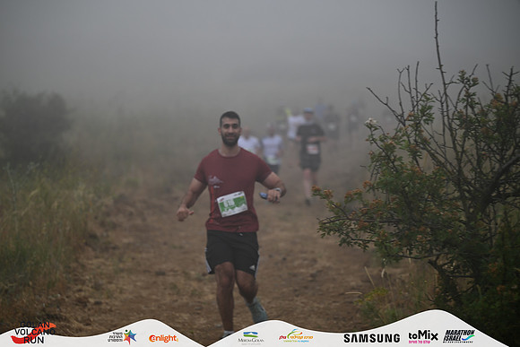 EYardeni-VLR26-1381