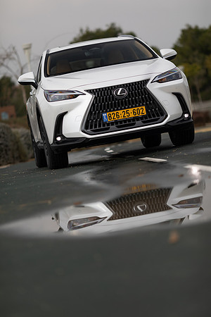 TF_Lexus-nx450h+-047