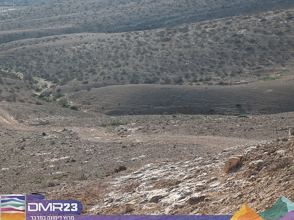 RT_dmr23_0095