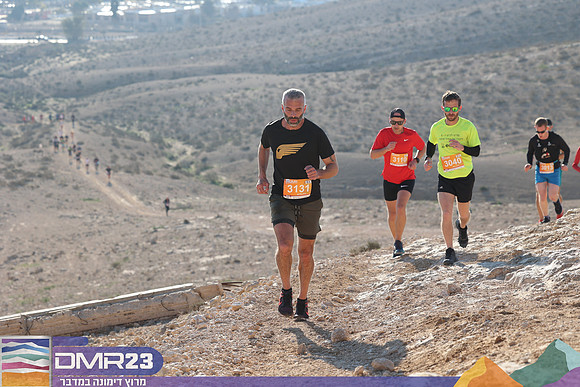 RT_dmr23_0205