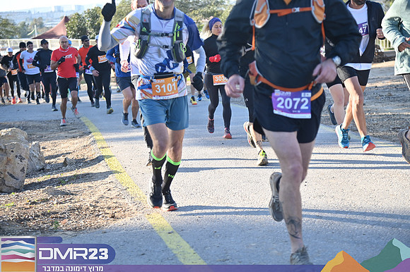 EA_dmr23_0252