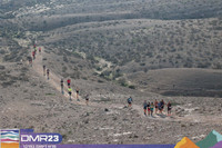RT_dmr23_0114