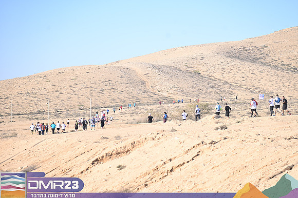 EA_dmr23_0356