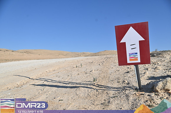 EA_dmr23_0364