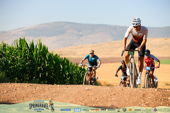 TFeder-OSGG26-1448