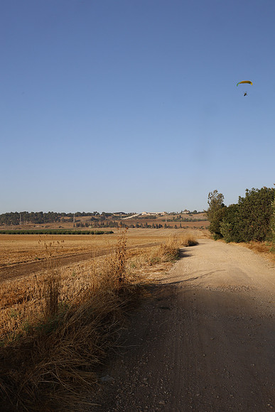 TFederOSGG26-0509