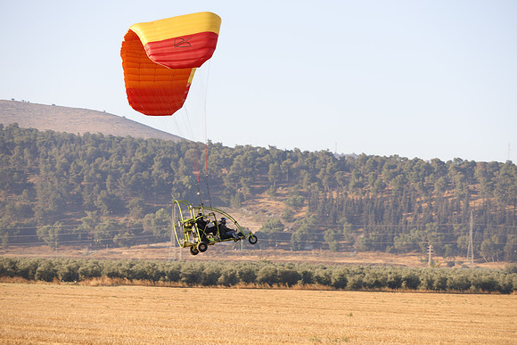 TFederOSGG26-0515