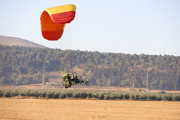TFederOSGG26-0516