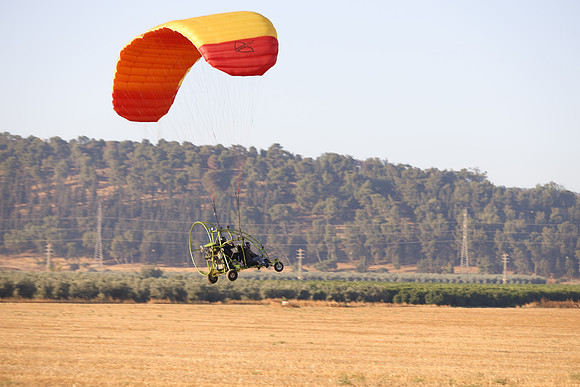 TFederOSGG26-0517