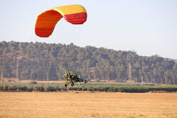TFederOSGG26-0518