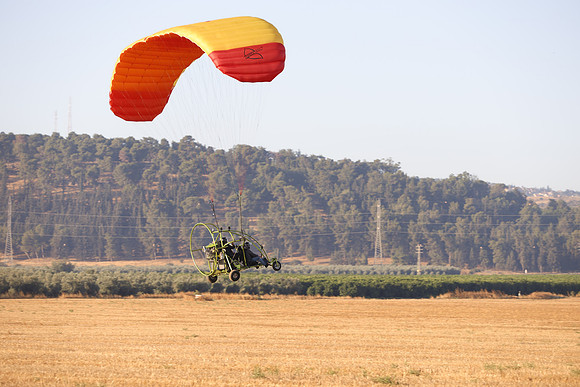 TFederOSGG26-0519
