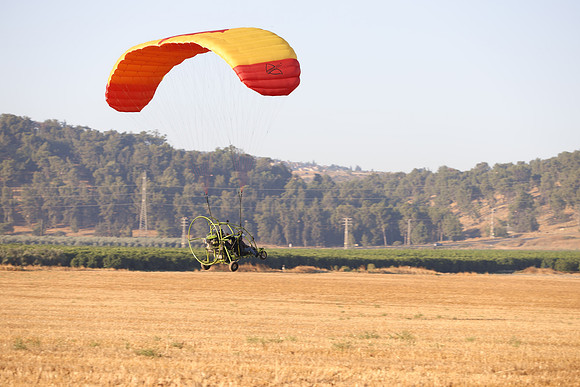 TFederOSGG26-0520