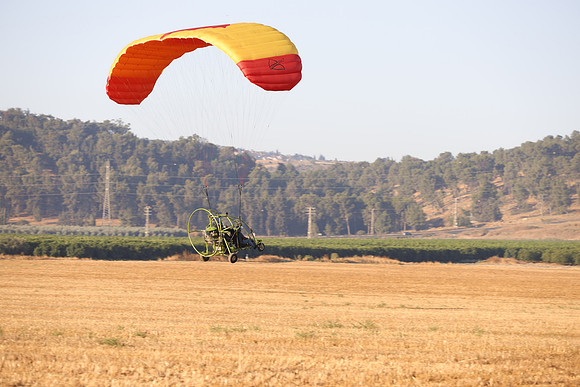 TFederOSGG26-0521