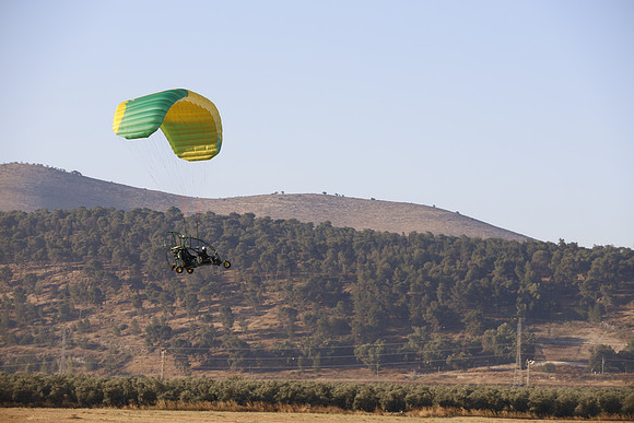 TFederOSGG26-0529